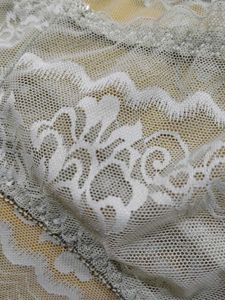 2012 -- Transparent Lace Trim panty