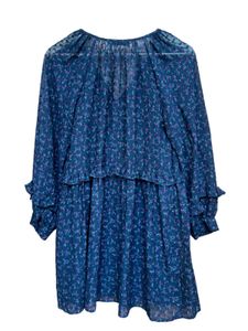 ZARA Sheer Floral Swiss Dot Dress – Size Medium