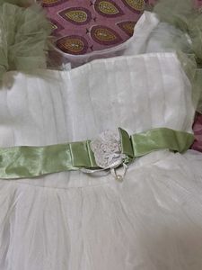 Elegant White &amp; Green Gown