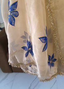 hand painted dupatta