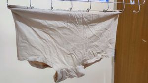 Van Heusen Briefs