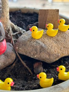 Set Of 6 Duck Miniature