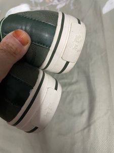 Coach Green Canvas Sneakers