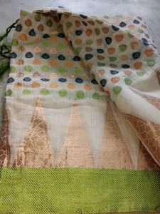 women trendy Saree