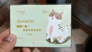 Oil Blotting Sheet