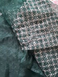 Never Used Organza Elegant Sequin Work Saree
