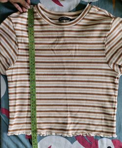 Women's Ribbed Crop Top 🍂