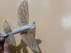 Flying Fish Toy