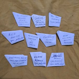 Desi Heirloom Veggie Seeds (10 varieties)