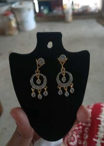 Elegant Dangle Earrings