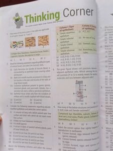 NCERT Biology XI + XII Textbook
