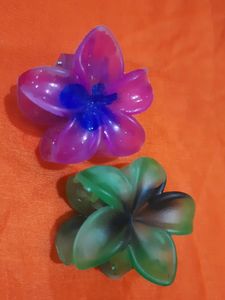 Beautiful Set of 2 Hair Clutchers