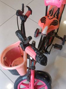 Kids Bicycle with Training Wheels