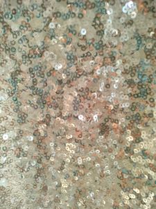 Price Down - Sequin White Top