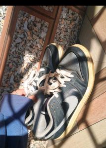 Nike Dunk Low Sneakers