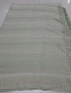 Elegant Light Green Embellished Saree