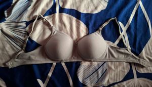 Padded Comfortable Light Gray Bra