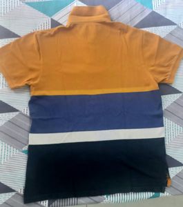 US Polo T shirt in dual color