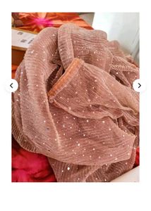 Sparkling Pink Saree Blouse