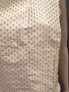 Beautiful Ethnic Lehenga Choli Set
