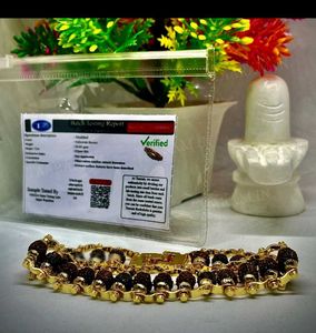 Authentic Rudraksha Bracelet Gold Plated