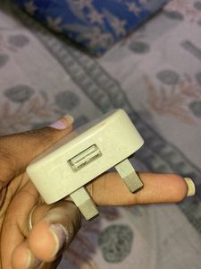 International Iphone Charger