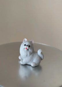 Pomeranian Puppy Dog Miniature