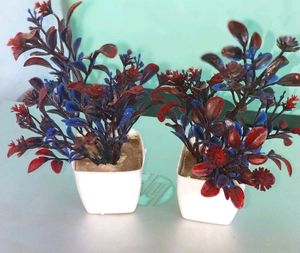 Show piece flower