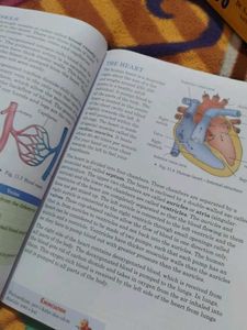 Expanded Universal Science Grade 7 Textbook
