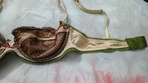 Lace Trimmed Underwire Bra