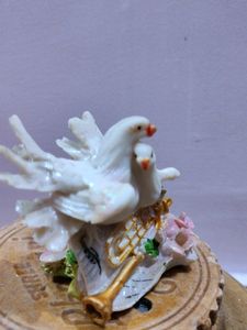 Love Birds.