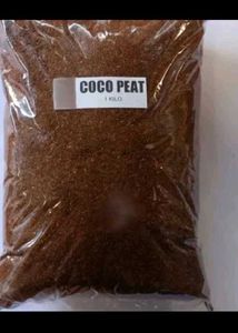 Coco Peat Soil