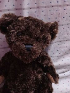 Brown Plush Teddy Bear