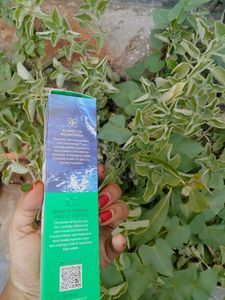 Coconut Face Wash
