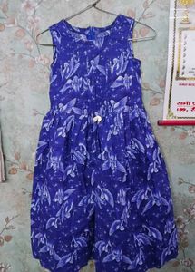 Blue Floral Print Fit &amp; Flare Dress