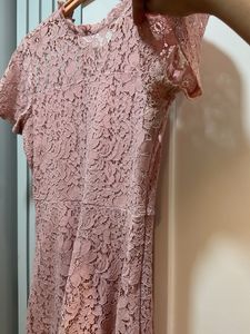 Ginger Elegant Lace Dress, Knee length Bust-34 L