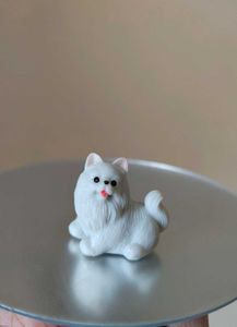 Pomeranian Puppy Dog Miniature