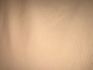 Light Cream (nude) Palazzos