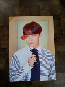 Large Peel N Stick Poster Of All BTS Members With