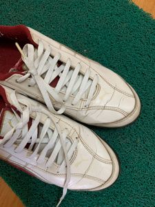 Puma Sneakers
