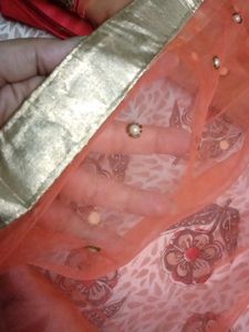 Peach Pearl Embellished Saree