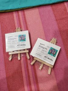 Mini Display Easel with Canvas Set of 2