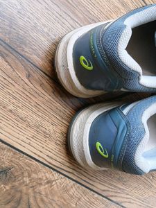 Asics Blue Sport Shoes