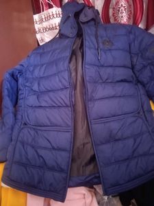 unisex Navy Blue Padded Jacket