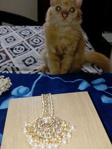 Elegant Pearl &amp; Kundan Maang Tikka