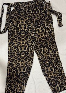 FASHIONABLE PANT