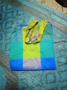 Colorful Checked Saree