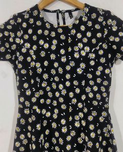 Daisy Print Fit &amp; Flare Dress