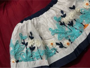 Embroidered Ethnic Skirt