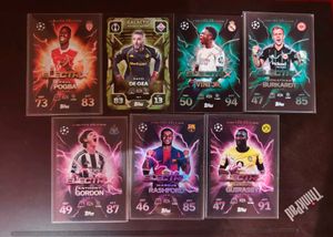 Limited Edition Custom Lot
